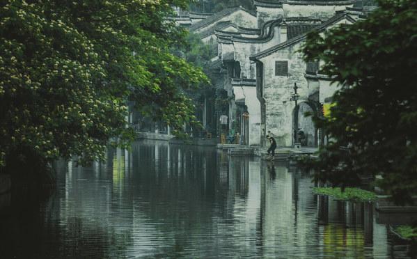 宠物世界聚会